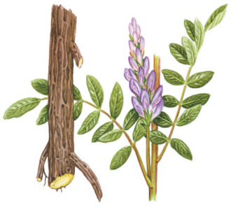 Q and A: Healing Sarcoidosis and Managing Migraines Image